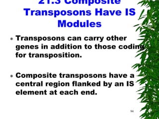 21.3 Composite
      Transposons Have IS
            Modules
   Transposons can carry other
    genes in addition to those coding
    for transposition.

   Composite transposons have a
    central region flanked by an IS
    element at each end.

                                 94
 
