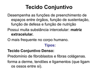 Tecido Conjuntivo
Desempenha as funções de preenchimento de
espaços entre órgãos, função de sustentação,
função de defesa e função de nutrição
Possui muita substância intercelular: matriz
extracelular.
O mais frequente no corpo humano.
Tipos:
Tecido Conjuntivo Denso:
Predomínio de fibroblastos e fibras colágenas.
forma a derme, tendões e ligamentos (que ligam
os ossos entre si).
 