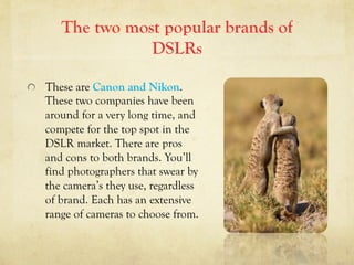 The two most popular brands of
DSLRs
  These are Canon and Nikon.
These two companies have been
around for a very long time, and
compete for the top spot in the
DSLR market. There are pros
and cons to both brands. You’ll
find photographers that swear by
the camera’s they use, regardless
of brand. Each has an extensive
range of cameras to choose from.
 