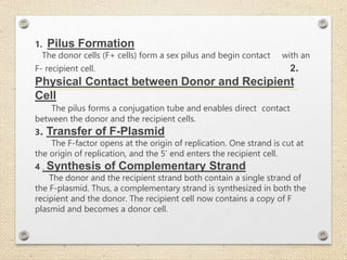 1. Pilus Formation
The donor cells (F+ cells) form a sex pilus and begin contact with an
F- recipient cell. 2.
Physical Contact between Donor and Recipient
Cell
The pilus forms a conjugation tube and enables direct contact
between the donor and the recipient cells.
3. Transfer of F-Plasmid
The F-factor opens at the origin of replication. One strand is cut at
the origin of replication, and the 5’ end enters the recipient cell.
4 . Synthesis of Complementary Strand
The donor and the recipient strand both contain a single strand of
the F-plasmid. Thus, a complementary strand is synthesized in both the
recipient and the donor. The recipient cell now contains a copy of F
plasmid and becomes a donor cell.
 