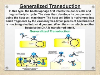 Generalized Transduction
In this type, the bacteriophage first infects the donor cells and
begins the lytic cycle. The virus then develops its components
using the host cell machinery. The host cell DNA is hydrolyzed into
small fragments by the viral enzymes.Small pieces of bacteria DNA
is now integrated into viral genome. When the virus infects another
bacteria the DNA is transferred into it.
 
