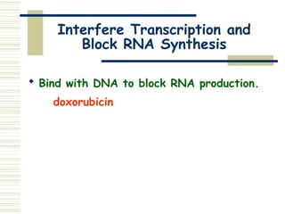 Interfere Transcription and
Block RNA Synthesis
 Bind with DNA to block RNA production.
doxorubicin
 