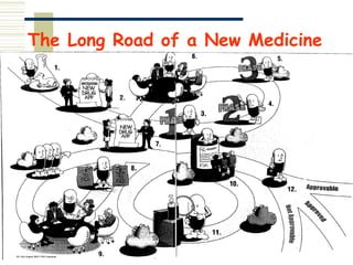 The Long Road of a New Medicine
 