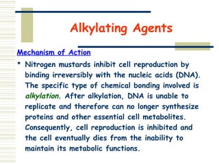 Alkylating Agents
Mechanism of Action
 Nitrogen mustards inhibit cell reproduction by
binding irreversibly with the nucleic acids (DNA).
The specific type of chemical bonding involved is
alkylation. After alkylation, DNA is unable to
replicate and therefore can no longer synthesize
proteins and other essential cell metabolites.
Consequently, cell reproduction is inhibited and
the cell eventually dies from the inability to
maintain its metabolic functions.
 