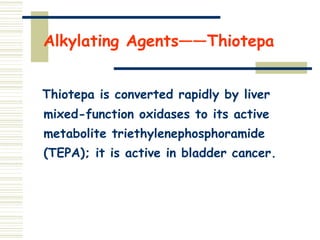 Alkylating Agents——Thiotepa
Thiotepa is converted rapidly by liver
mixed-function oxidases to its active
metabolite triethylenephosphoramide
(TEPA); it is active in bladder cancer.
 