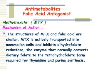 Antimetabolites——
Folic Acid Antagonist
Methotrexate （ MTX ）
Mechanism of Action ：
 The structures of MTX and folic acid are
similar. MTX is actively transported into
mammalian cells and inhibits dihydrofolate
reductase, the enzyme that normally converts
dietary folate to the tetrahydrofolate form
required for thymidine and purine synthesis.
 