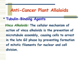 Anti-Cancer Plant Allaloids
 Tubulin-Binding Agents
Vinca Alkaloids: The cellular mechanism of
action of vinca alkaloids is the prevention of
microtubule assembly, causing cells to arrest
in the late G2 phase by preventing formation
of mitotic filaments for nuclear and cell
division.
 