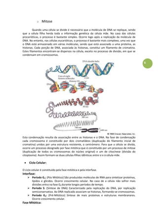 11 (1)  biologia 