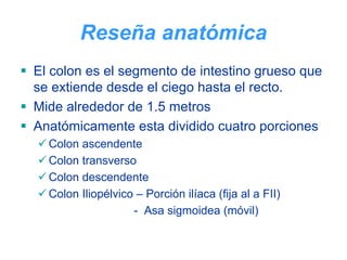 Reseña anatómica
El colon es el segmento de intestino grueso que
se extiende desde el ciego hasta el recto.
Mide alrededor de 1.5 metros
Anatómicamente esta dividido cuatro porciones
  Colon ascendente
  Colon transverso
  Colon descendente
  Colon Iliopélvico – Porción ilíaca (fija al a FII)
                   - Asa sigmoidea (móvil)
 