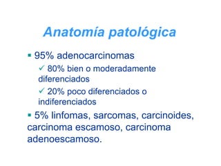 Anatomía patológica
 95% adenocarcinomas
     80% bien o moderadamente
  diferenciados
     20% poco diferenciados o
  indiferenciados
 5% linfomas, sarcomas, carcinoides,
carcinoma escamoso, carcinoma
adenoescamoso.
 
