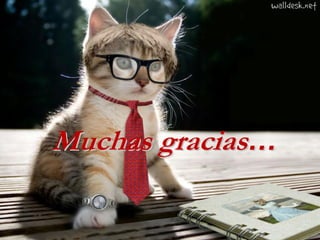 Muchas gracias…
 