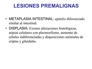 LESIONES PREMALIGNAS

• METAPLASIA INTESTINAL: epitelio diferenciado
  similar al intestinal.
• DISPLASIA: Existen alteraciones histológicas,
  atipias celulares con pleomorfismo, aumento de
  células indiferenciadas y disposiciones anómalas de
  criptas y glándulas.
 