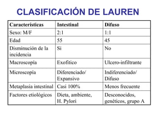 CLASIFICACIÓN DE LAUREN
Características      Intestinal         Difuso
Sexo: M/F            2:1                1:1
Edad                 55                 45
Disminución de la    Si                 No
incidencia
Macroscopía          Exofitico          Ulcero-infiltrante
Microscopía           Diferenciado/     Indiferenciado/
                      Expansivo         Difuso
Metaplasia intestinal Casi 100%         Menos frecuente
Factores etiológicos Dieta, ambiente,   Desconocidos,
                     H. Pylori          genéticos, grupo A
 