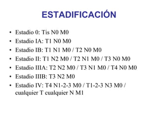 ESTADIFICACIÓN
•   Estadio 0: Tis N0 M0
•   Estadio IA: T1 N0 M0
•   Estadio IB: T1 N1 M0 / T2 N0 M0
•   Estadio II: T1 N2 M0 / T2 N1 M0 / T3 N0 M0
•   Estadio IIIA: T2 N2 M0 / T3 N1 M0 / T4 N0 M0
•   Estadio IIIB: T3 N2 M0
•   Estadio IV: T4 N1-2-3 M0 / T1-2-3 N3 M0 /
    cualquier T cualquier N M1
 
