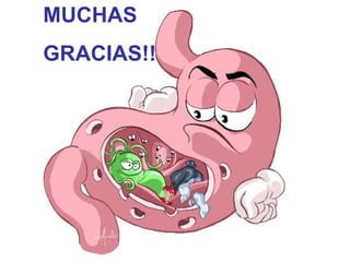 MUCHAS
GRACIAS!!
 