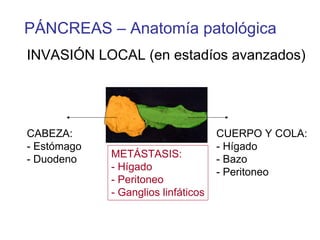 PÁNCREAS – Anatomía patológica
INVASIÓN LOCAL (en estadíos avanzados)




CABEZA:                              CUERPO Y COLA:
- Estómago                           - Hígado
- Duodeno    METÁSTASIS:             - Bazo
             - Hígado                - Peritoneo
             - Peritoneo
             - Ganglios linfáticos
 