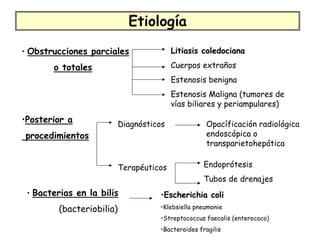 Etiología
• Obstrucciones parciales                 Litiasis coledociana

       o totales                          Cuerpos extraños
                                          Estenosis benigna
                                          Estenosis Maligna (tumores de
                                          vías biliares y periampulares)
•Posterior a               Diagnósticos             Opacíficación radiológica
procedimientos                                      endoscópica o
                                                    transparietohepática


                           Terapéuticos             Endoprótesis
                                                    Tubos de drenajes
 • Bacterias en la bilis             •Escherichia coli
         (bacteriobilia)             •Klebsiella pneumonie
                                     •Streptococcus faecalis (enterococo)
                                     •Bacteroides fragilis
 