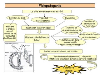 Fisiopatogenia
                             La bilis normalmente es estéril

      Esfínter de Oddi               Propiedad                    Flujo Biliar
                                   bacteriostática                                      Debido a la
                                                                                        obstrucción
    mantiene                                                                           al flujo biliar
   la presión
                         mantienen la esterilidad                   Aumento de
                                                               la presión dentro de
    normal
                                                                   los conductos
 dentro de los                                                                     Reduce las defensas
   conductos
(Pr=10cmH20)         Obstrucción del tracto                                          antibacterianas
                             biliar                           Multiplicación de la
                                                                 concentración
                                                            de bacterias por estasis


                                           las bacterias acceden al tracto biliar

                                                      Por duodeno (vía ascendente) , vía portal
                                                linfáticos o circulación sistémica (arteria hepática))



                                                                Colangitis
                                                                 Aguda
 