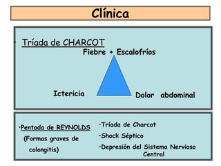 Clínica

• Tríada de CHARCOT
                      Fiebre + Escalofríos




           Ictericia                 Dolor abdominal



 •Pentada de REYNOLDS     •Tríada de Charcot

  (Formas graves de       •Shock Séptico

   colongitis)            •Depresión del Sistema Nervioso
                                         Central
 