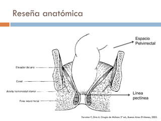 Reseña anatómica

                                                                     Espacio
                                                                     Pelvirrectal




                                                                   Línea
                                                                   pectínea



               Ferraina P, Oría A. Cirugía de Michans 5ª ed., Buenos Aires: El Ateneo, 2002.
 