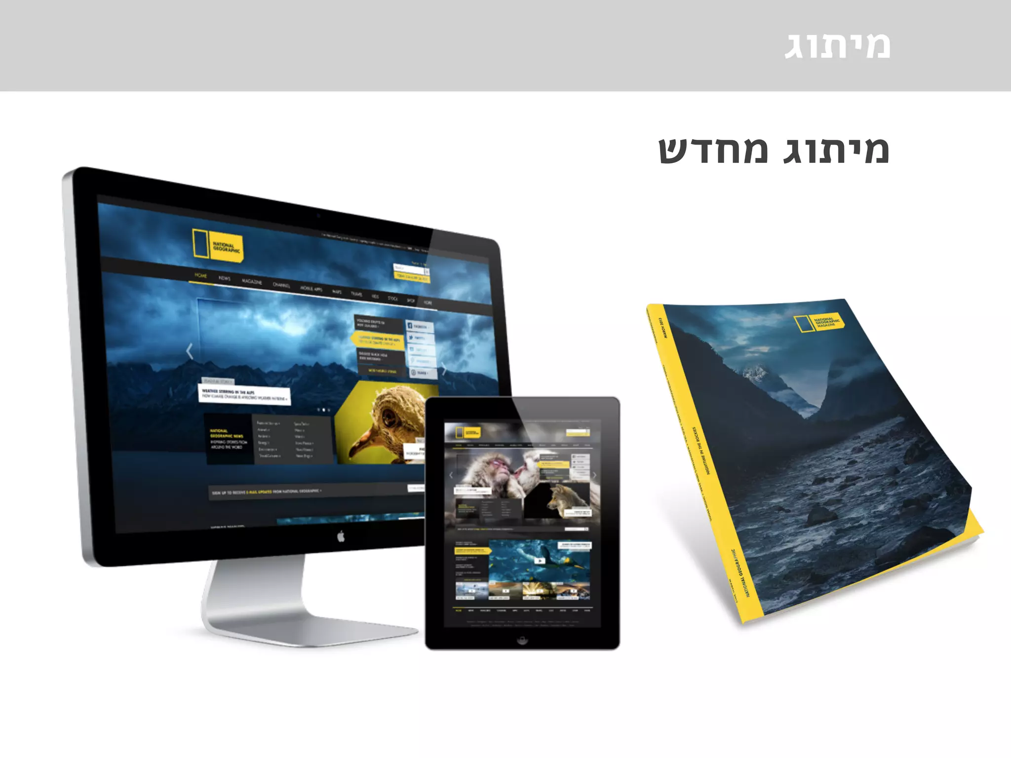 ‫מיתוג‬
‫מחדש‬ ‫מיתוג‬
 