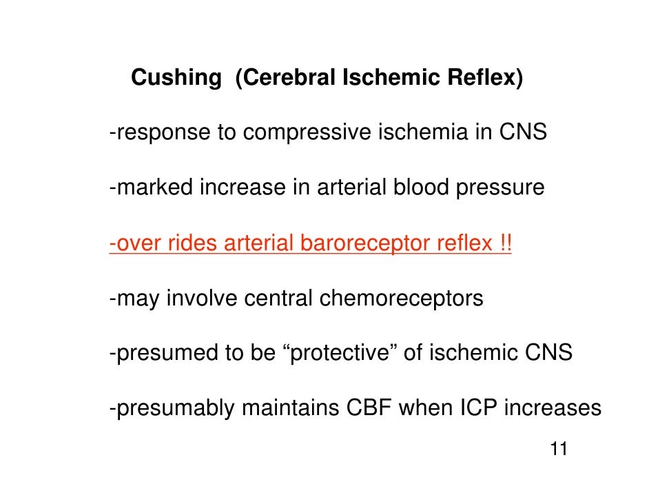 11.10.08(a) Cerebral Blood Flow