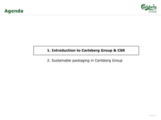 Sustainable Packaging in Carlsberg Group | PDF