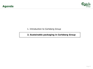 Sustainable Packaging in Carlsberg Group | PDF