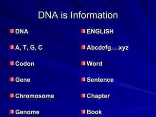 Sentence For Dna 2007aquilante-persmed | PPT