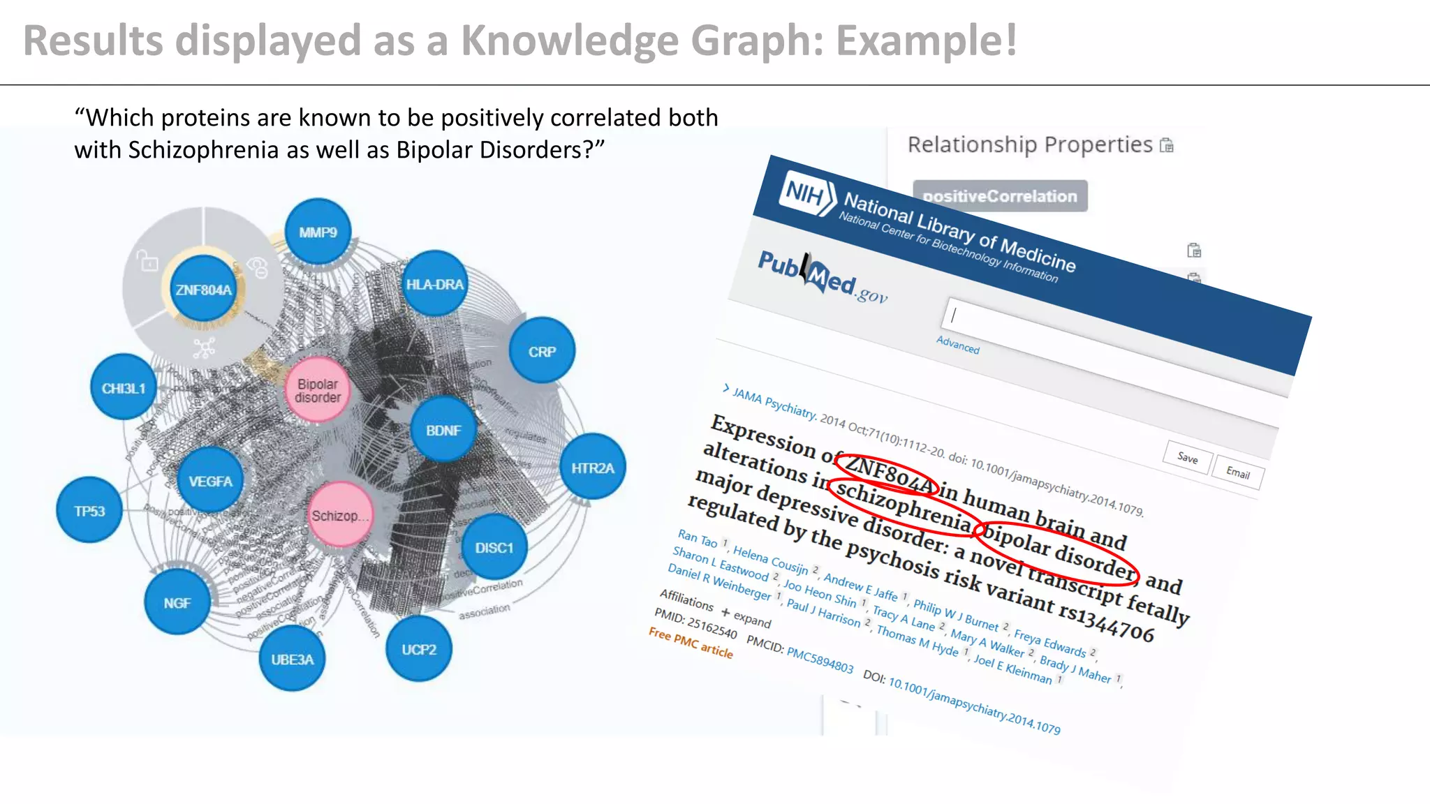 Results displayed as a Knowledge Graph: Example!
“Which proteins are known to be positively correlated both
with Schizophrenia as well as Bipolar Disorders?”
 