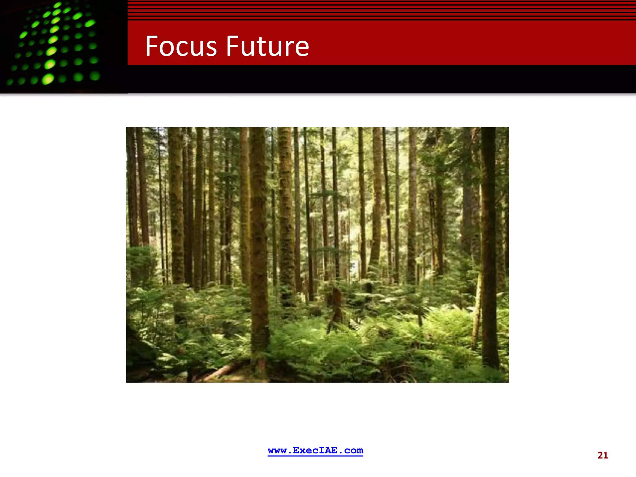 Focus Future




        www.ExecIAE.com   21
 