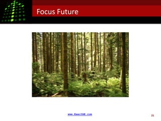 Focus Future




        www.ExecIAE.com   21
 