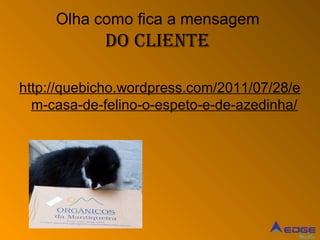 Olha como fica a mensagem
            do cliente

http://quebicho.wordpress.com/2011/07/28/e
  m-casa-de-felino-o-espeto-e-de-azedinha/




                                         Mídia
 
