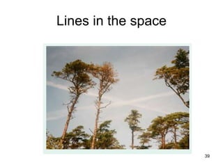 Lines in the space 