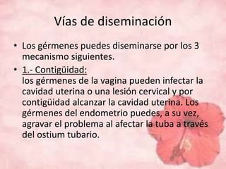 Vías de diseminación 
• Los gérmenes puedes diseminarse por los 3 
mecanismo siguientes. 
• 1.- Contigüidad: 
los gérmenes de la vagina pueden infectar la 
cavidad uterina o una lesión cervical y por 
contigüidad alcanzar la cavidad uterina. Los 
gérmenes del endometrio puedes, a su vez, 
agravar el problema al afectar la tuba a través 
del ostium tubario. 
 