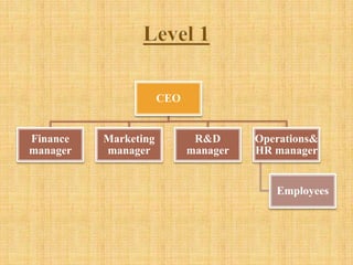 CEO
Finance
manager
Marketing
manager
R&D
manager
Operations&
HR manager
Employees
 