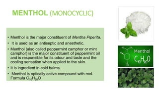 Peppermint Compound Terpenoids: types, biosynthesis and functions. | PPTX