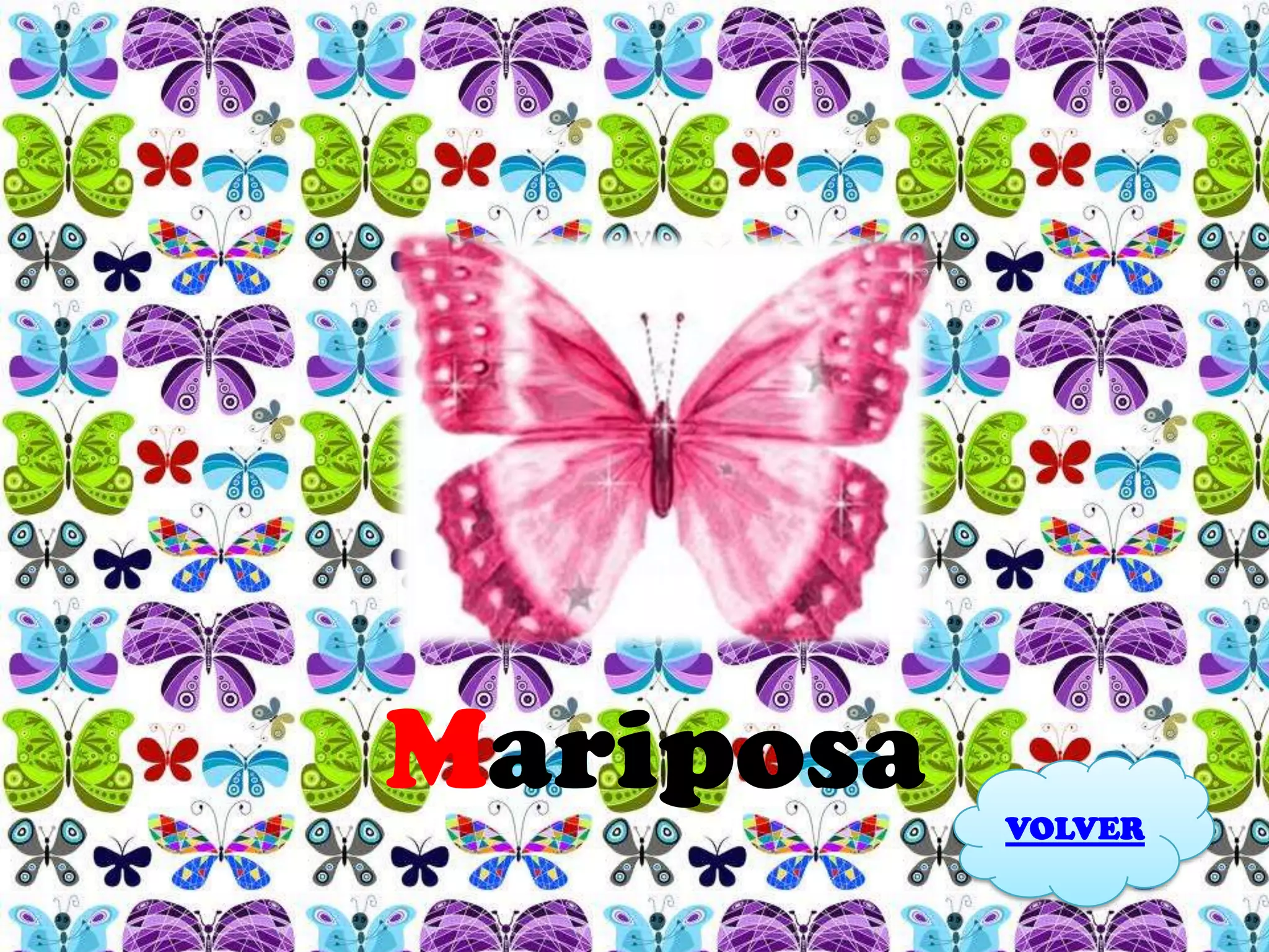Mariposa   VOLVER
 