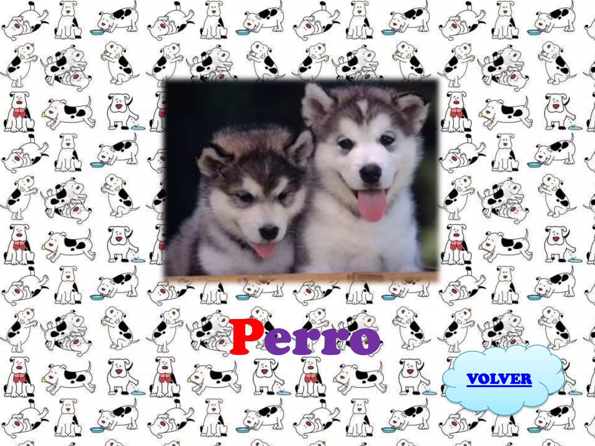 Perro
        VOLVER
 