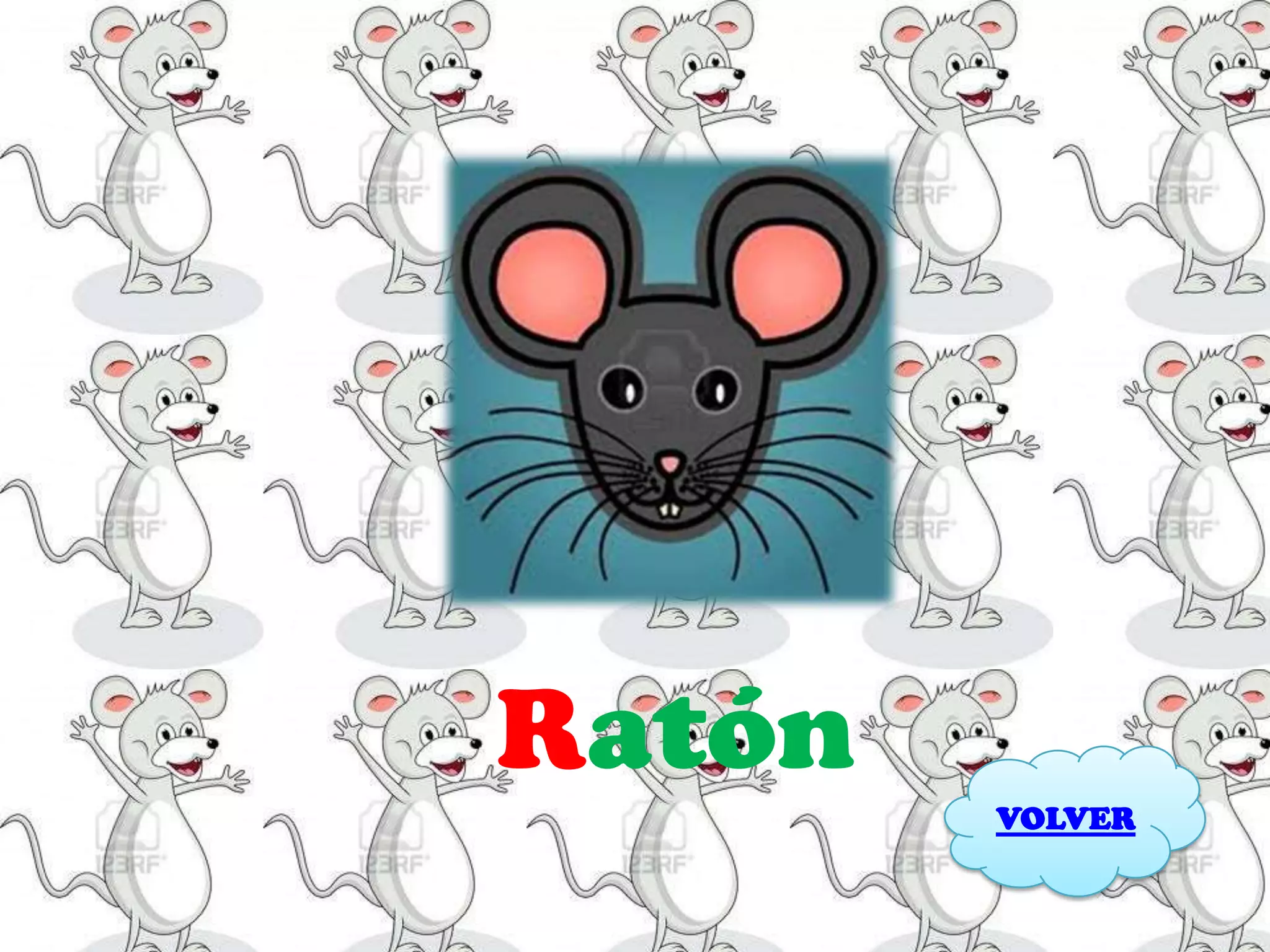 Ratón
        VOLVER
 