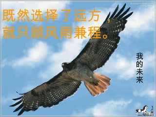 既然选择了远方，就只顾风雨兼程。 我的未来 