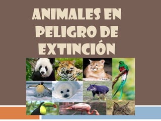 ANIMALES EN
PELIGRO DE
 EXTINCIÓN
 