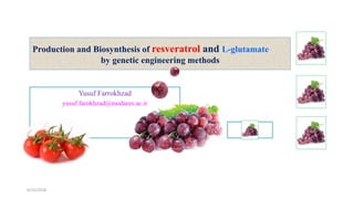 Production and Biosynthesis of resveratrol and L-glutamate
by genetic engineering methods
Yusuf Farrokhzad
yusuf.farokhzad@modares.ac.ir
6/15/2018 1
 