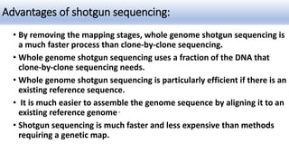 Advantages of shotgun sequencing:
• By removing the mapping stages, whole genome shotgun sequencing is
a much faster process than clone-by-clone sequencing.
• Whole genome shotgun sequencing uses a fraction of the DNA that
clone-by-clone sequencing needs.
• Whole genome shotgun sequencing is particularly efficient if there is an
existing reference sequence.
• It is much easier to assemble the genome sequence by aligning it to an
existing reference genome .
• Shotgun sequencing is much faster and less expensive than methods
requiring a genetic map.
 