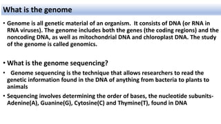 • Genome is all genetic material of an organism. It consists of DNA (or RNA in
RNA viruses). The genome includes both the genes (the coding regions) and the
noncoding DNA, as well as mitochondrial DNA and chloroplast DNA. The study
of the genome is called genomics.
• What is the genome sequencing?
• Genome sequencing is the technique that allows researchers to read the
genetic information found in the DNA of anything from bacteria to plants to
animals
• Sequencing involves determining the order of bases, the nucleotide subunits-
Adenine(A), Guanine(G), Cytosine(C) and Thymine(T), found in DNA
What is the genome
 
