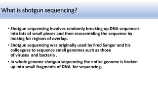 shotgun sequncing | PPT