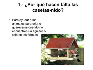 • Para ayudar a los
animales para criar o
guarecerse cuando no
encuentren un agujero o
sitio en los árboles
1.- ¿Por qué hacen falta las
casetas-nido?
 