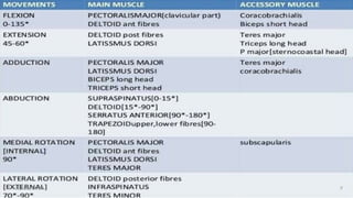 acromioclavicular joint , shoulder joint , sternoclavicular joint | PDF