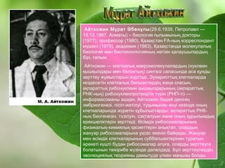 Айтхожин Мұрат Әбенұлы(29.6.1939, Петропавл —
19.12.1987, Алматы) – биология ғылымының докторы
(1977), профессор (1980), Қазақстан ҒА-ның корреспондент
мүшесі (1979), академик (1983), Қазақстанда молекулалық
биология мен биотехнологияның негізін қалаушылардың
бірі, ғалым.
Айтхожин — клеткалық макромолекулалардың (нуклеин
қышқылдары мен белоктың) синтезі саласында аса құнды
зерттеу жұмыстарын жүргізді. Эукариоттық клеткаларда
кездесетін клеткалық бөлшектердің жаңа класын,
ақпараттық рибонуклеин қышқылдарының (ақпараттық
РНК-ның) рибонуклеопротеидтік түрін (РНП-ті) —
информасоманы ашқан. Айтхожин бидай дәнінің
эмбриогенезі, пісіп-жетілуі, тұқымынан өнуі кезінде оның
клеткаларында жүретін құбылыстарды: ақпараттық РНК-
ның биогенезін, түзілуін, сақталуын және оның құрылымдық
ерекшеліктерін зерттеді. Өсімдік рибосомаларының
физикалық-химиялық қасиеттерін анықтап, олардың
жануар рибосомаларына ұқсас екенін байқады. Жануар
мен өсімдік клеткаларының суббөлшектерінен тұратын
әрекеті күшті будан рибосомалар алуға, оларды зерттеуге
болатынын тәжірибе жүзінде дәлелдеді. Бұл зерттеулердің
эволюциялық теорияны дамытуда үлкен маңызы болды.
 