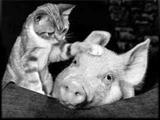 33.	E, por fim, conseguir pensar noutras coisas além de si mesmo.